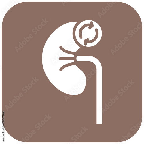 Kidney Transplant Icon
