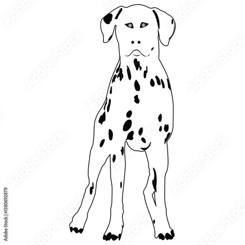  Dog illustration logo silhouette vector outline dog black and white