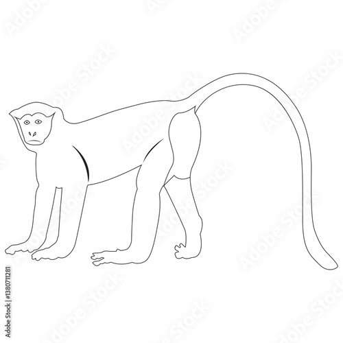   Monkey silhouette vector illustration black and white.