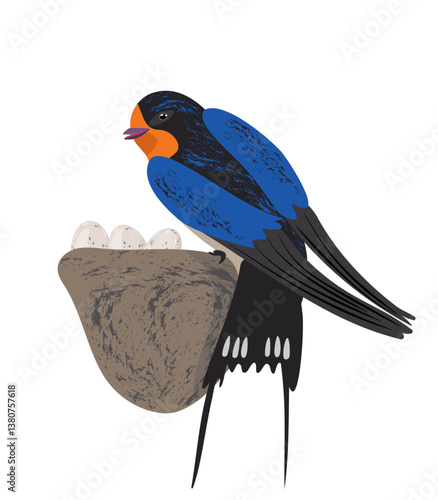 Female spring swallow sits on nest with eggs. Vector texture drawing clay nest with clutch. Bird with blue plumage incubates eggs, future offspring. Isolated, without background