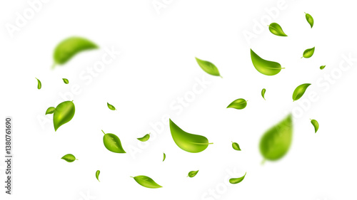 Green flying leaves on long white banner. Leaf falling. Wave foliage ornament. Vegan, eco, organic design element. Cosmetic pattern border. Fresh tea background. Beauty product. Vector illustration