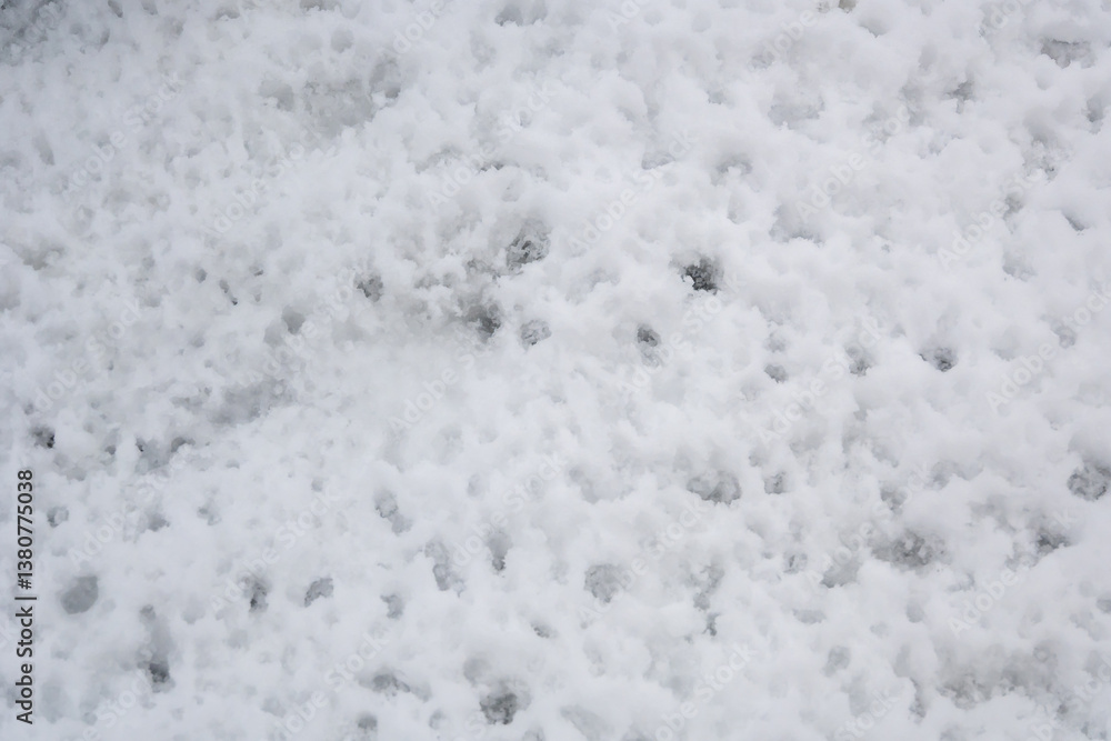 A snow covered ground with a few footprints A snow covered ground with a few footprints