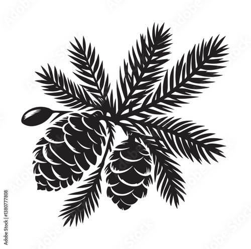 Evergreen fruit  Silhouettes vector illustration a white background.