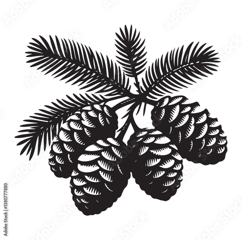 Evergreen fruit  Silhouettes vector illustration a white background.