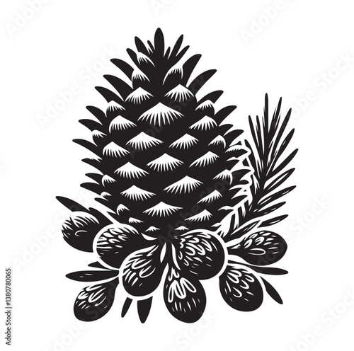 Evergreen fruit  Silhouettes vector illustration a white background.