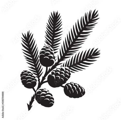 Evergreen fruit  Silhouettes vector illustration a white background.