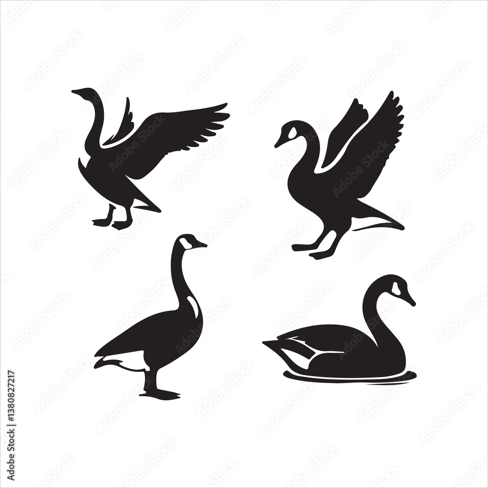 Obraz premium duck set of silhouettes of birds