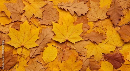 Wallpaper Mural Autumn's Golden Carpet AI Generated Torontodigital.ca