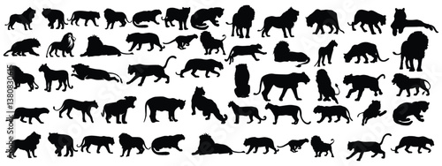 Lion silhouette vector set, stock illustration