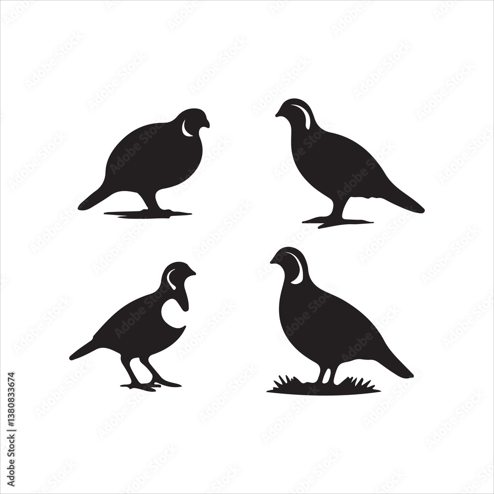 silhouettes of birds silhouettes of birds
