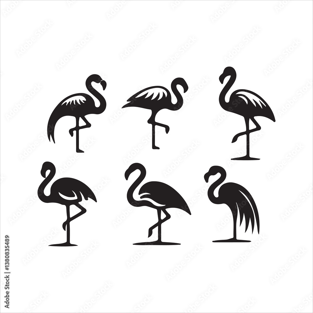 Obraz premium bird set of pink flamingos