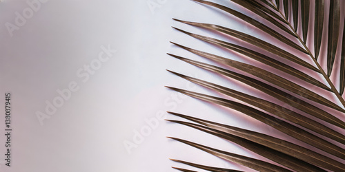 Single tropical palm leaf on light pink background  