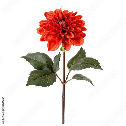 Spring Dahlia Garden on transparent background