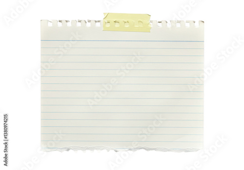 Wallpaper Mural A piece of lined notebook paper with torn bottom and top edges isolated on transparent background Torontodigital.ca