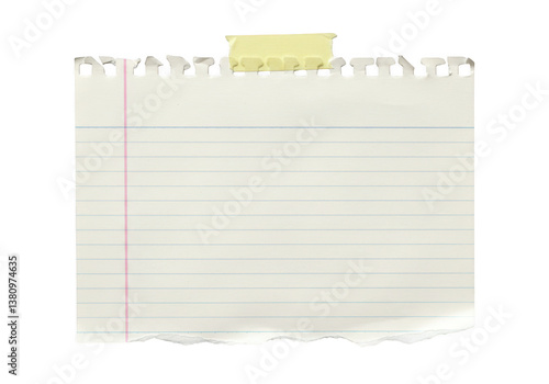 Wallpaper Mural A piece of lined notebook paper with torn bottom and top edges isolated on transparent background Torontodigital.ca