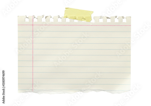 Wallpaper Mural A piece of lined notebook paper with torn bottom and top edges isolated on transparent background Torontodigital.ca