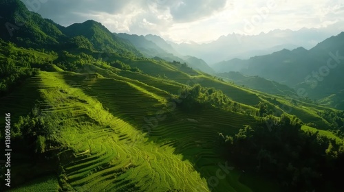 Obraz na płótnie Aerial View of Lush Green Rice Terraces in Hilly Landscape w salonie