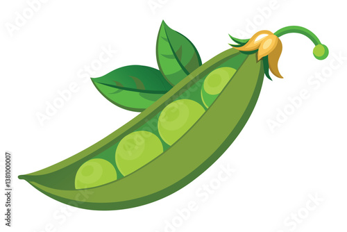Vector illustration of pea pod isolated on white background. Healthy food or vegetarian and vegan theme. Fresh organic farm vegetables.