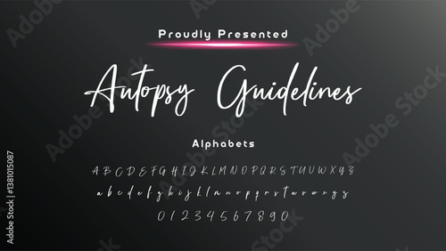 Bold and script alphabets. Vector font duo