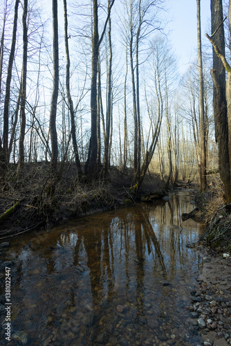 Spring landscape with the river