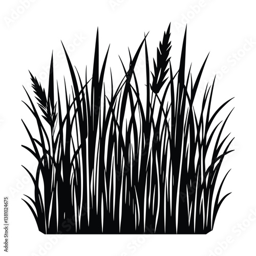 grass silhouette vector