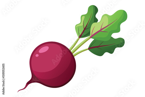 Vector cartoon illustration of a beet isolated on white background. Fresh and healthy food or vegetarian and vegan theme. Organic farm vegetables.