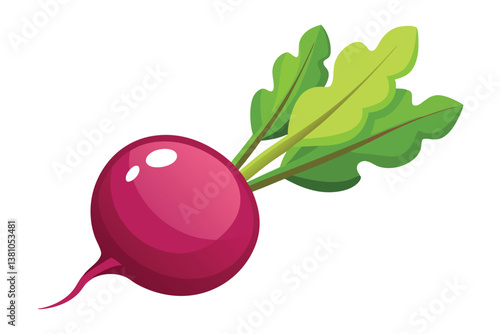 Vector cartoon illustration of a beet isolated on white background. Fresh and healthy food or vegetarian and vegan theme. Organic farm vegetables.