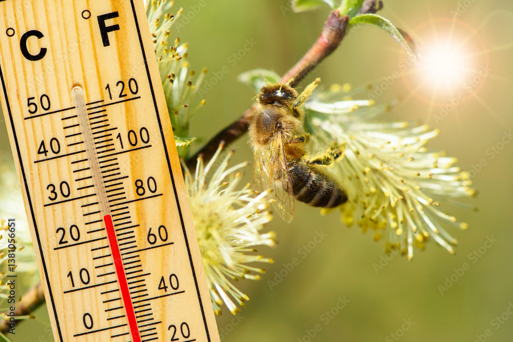 Ein Thermometer zeigt warme Temperatur zum Frühlingsanfang mit blühenden Blumen und Knospen im Hintergrund - FOTOMONTAGE