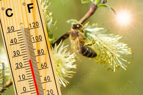 Obraz na płótnie Ein Thermometer zeigt warme Temperatur zum Frühlingsanfang mit blühenden Blumen und Knospen im Hintergrund - FOTOMONTAGE w salonie