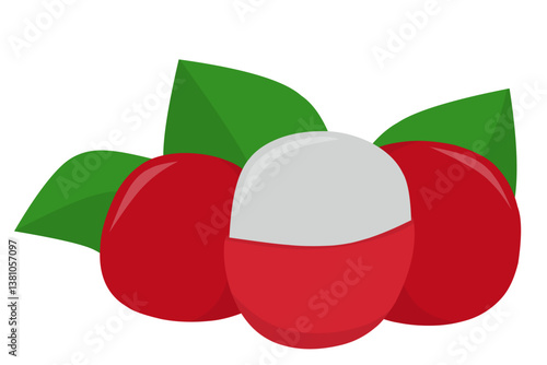 vector illustration of a lychee, Fruit