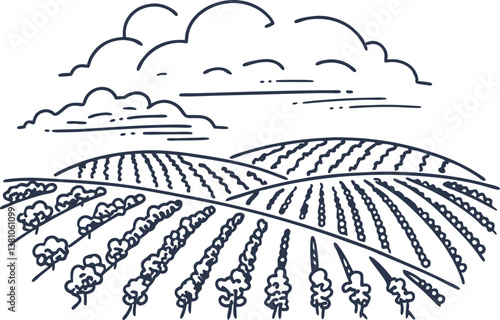 Illustrated vineyard landscape with rolling hills and clouds, black and white line art