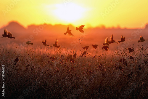 Cheyenne Bottoms National Wildlife Refuge - Sunrise