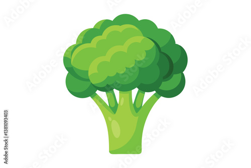 Vector illustration of broccoli isolated on white background. Healthy food or vegan and vegetarian theme. Fresh organic farm vegetables.