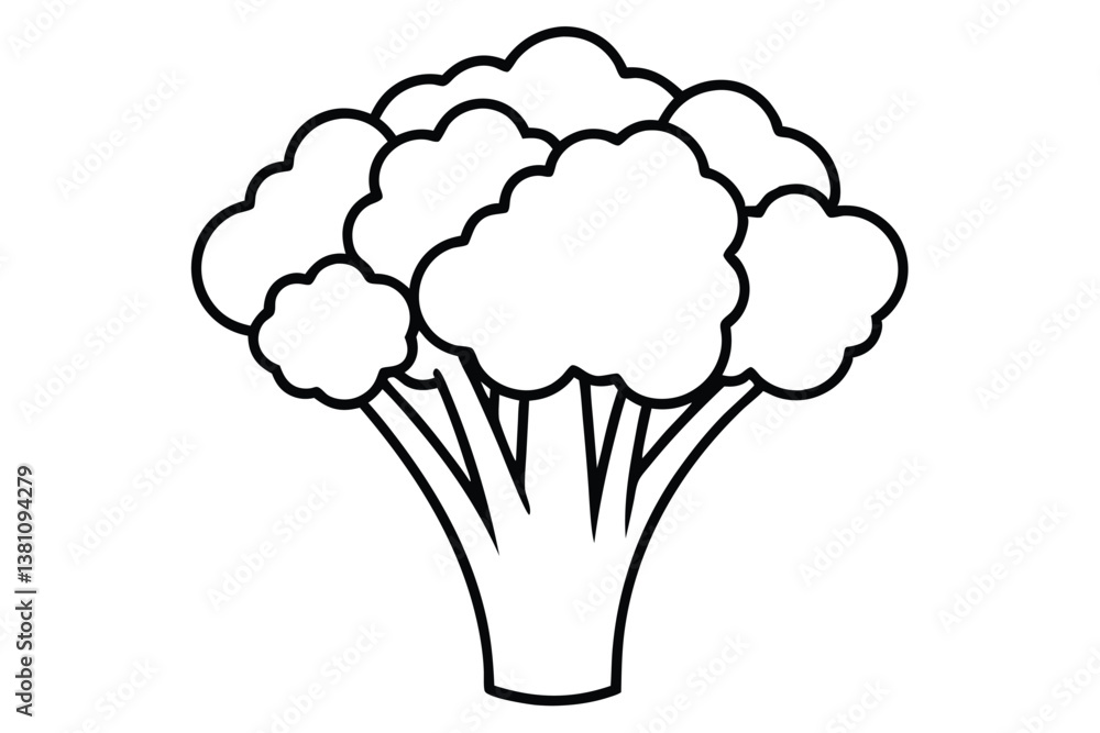 Vector illustration of broccoli isolated on white background. Healthy food or vegan and vegetarian theme. Fresh organic farm vegetables. Vector illustration of broccoli isolated on white background. Healthy food or vegan and vegetarian theme. Fresh organic farm vegetables.