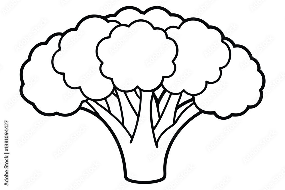 Vector illustration of broccoli isolated on white background. Healthy food or vegan and vegetarian theme. Fresh organic farm vegetables. Vector illustration of broccoli isolated on white background. Healthy food or vegan and vegetarian theme. Fresh organic farm vegetables.