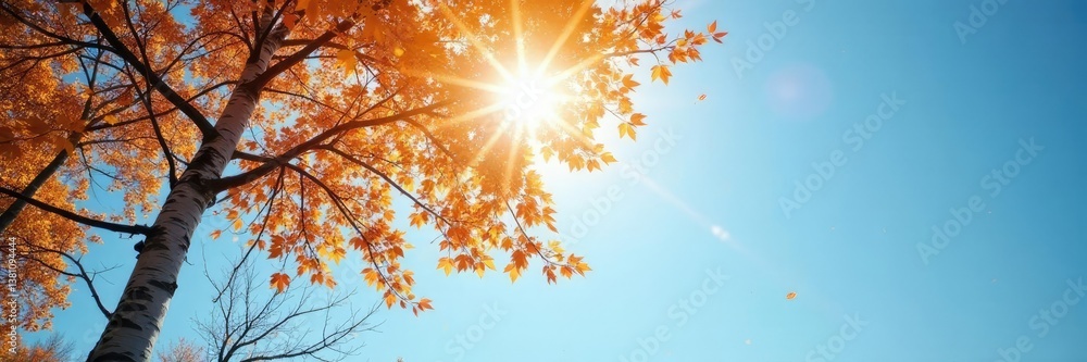 Delicate autumn birch tree against clear blue sky with sunbeams filtering through leaves, sunlight, forest landscape Delicate autumn birch tree against clear blue sky with sunbeams filtering through leaves, sunlight, forest landscape