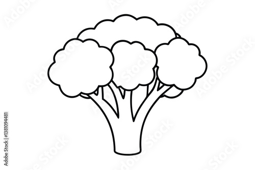 Vector illustration of broccoli isolated on white background. Healthy food or vegan and vegetarian theme. Fresh organic farm vegetables.