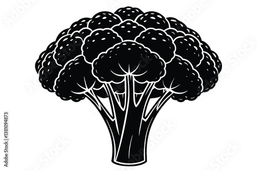 Vector illustration of broccoli isolated on white background. Healthy food or vegan and vegetarian theme. Fresh organic farm vegetables.