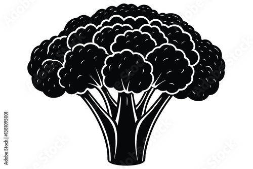 Vector illustration of broccoli isolated on white background. Healthy food or vegan and vegetarian theme. Fresh organic farm vegetables.
