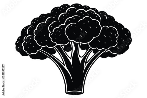 Vector illustration of broccoli isolated on white background. Healthy food or vegan and vegetarian theme. Fresh organic farm vegetables.