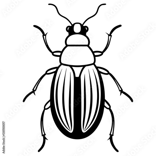 vector illustration of a beetle
