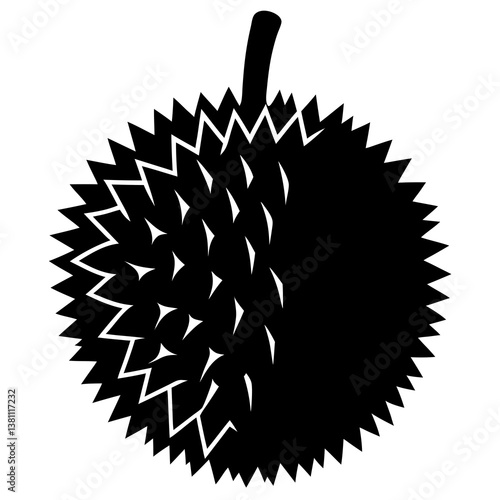 vector illustration of a jackfruit