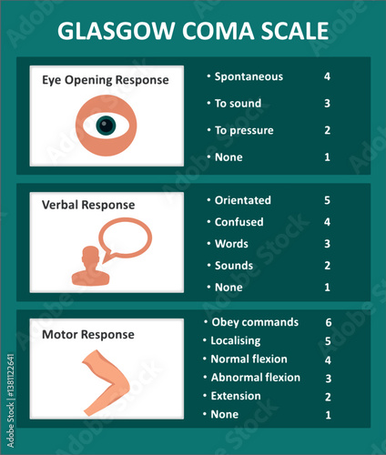 Glasgow Coma Score. Scoring for eye opening response, verbal response and motor response in the Glasgow Coma Scale. Avpu alert verbal pain patient score first aid test brain injury care GCS.