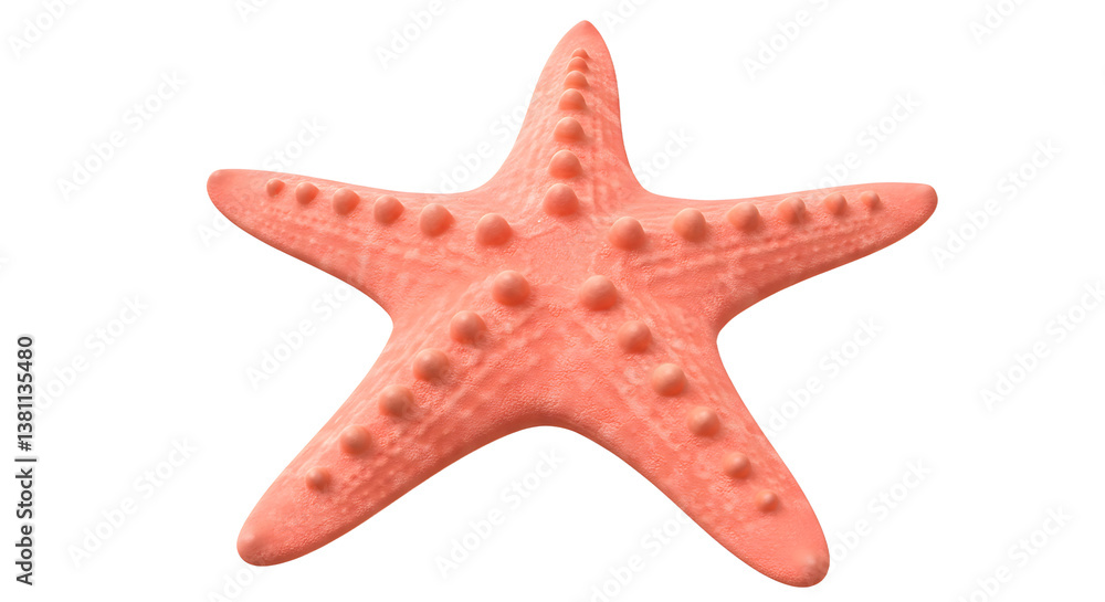Isolated Pink Starfish Close Up for Summer or Beach Concepts Isolated Pink Starfish Close Up for Summer or Beach Concepts