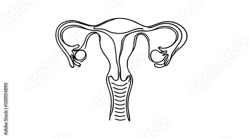  A minimalist continuous one-line drawing of a realistic uterus organ