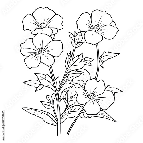 Evening primrose flower illustration coloring page - coloring book