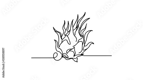 minimalist continuous one line drawing illustration of a realistic dragon fruit pitaya