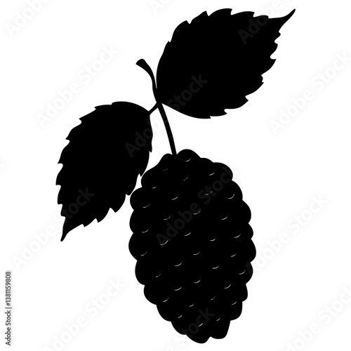 vector illustration of a ripe raspberry