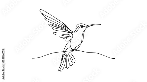 hummingbird one continuous line illustration