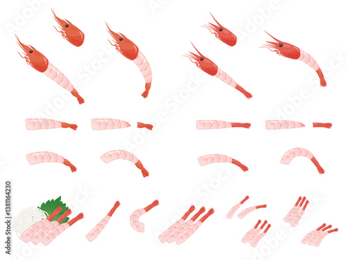 甘えびと赤エビの刺身のイラスト素材